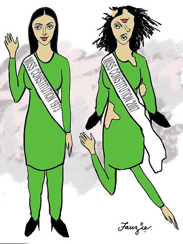 miss-constitution-of-pakistan.jpg