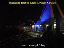 Gulf Dream Cruise