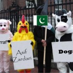 Musharraf Zardari Dogar